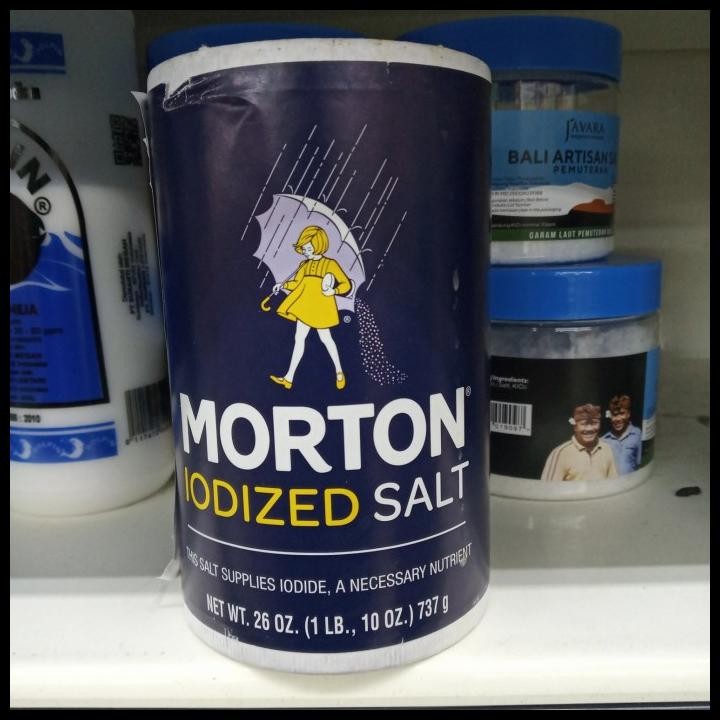 

Garam Morton Salt Iodized 737G (Made In Usa)