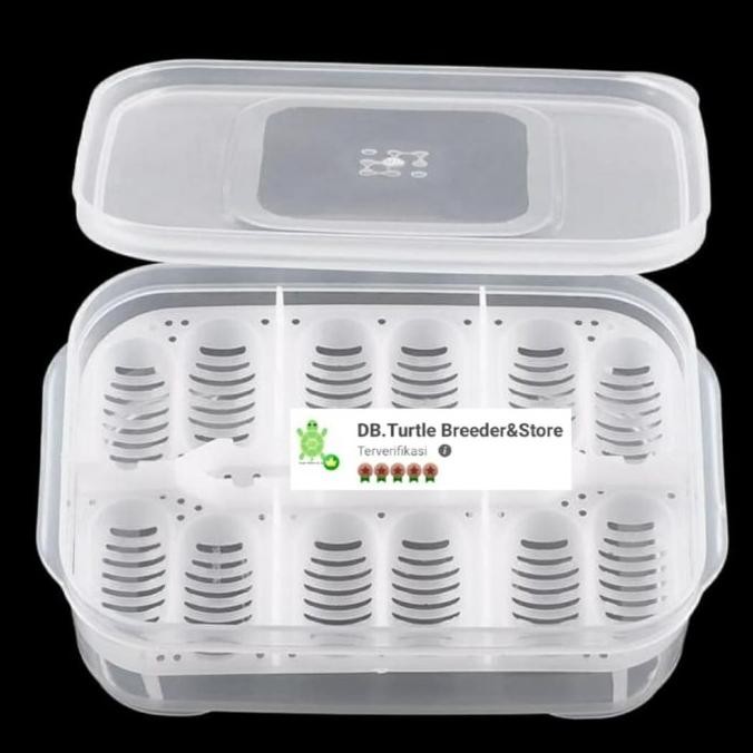 kotak telur reptile / egg tray incubator reptile