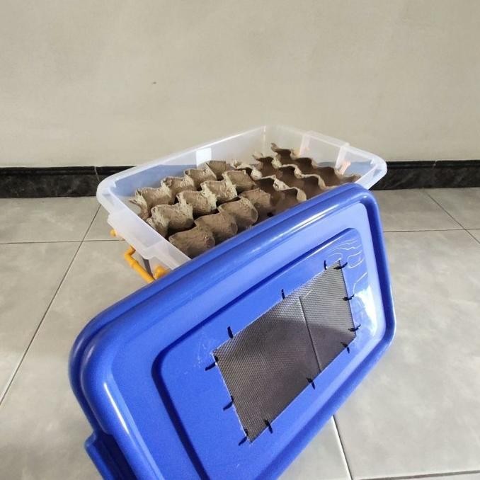 Kandang Dubia / Box Kecoa / box Dubia CB 25