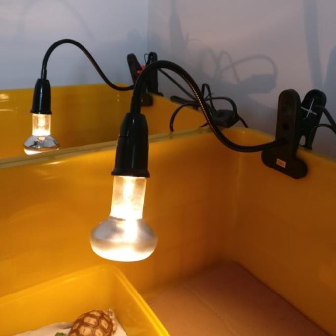 Lampu Kura Kura Reptil Penghangat Pemanas Reptil Lampu UVA UVB
