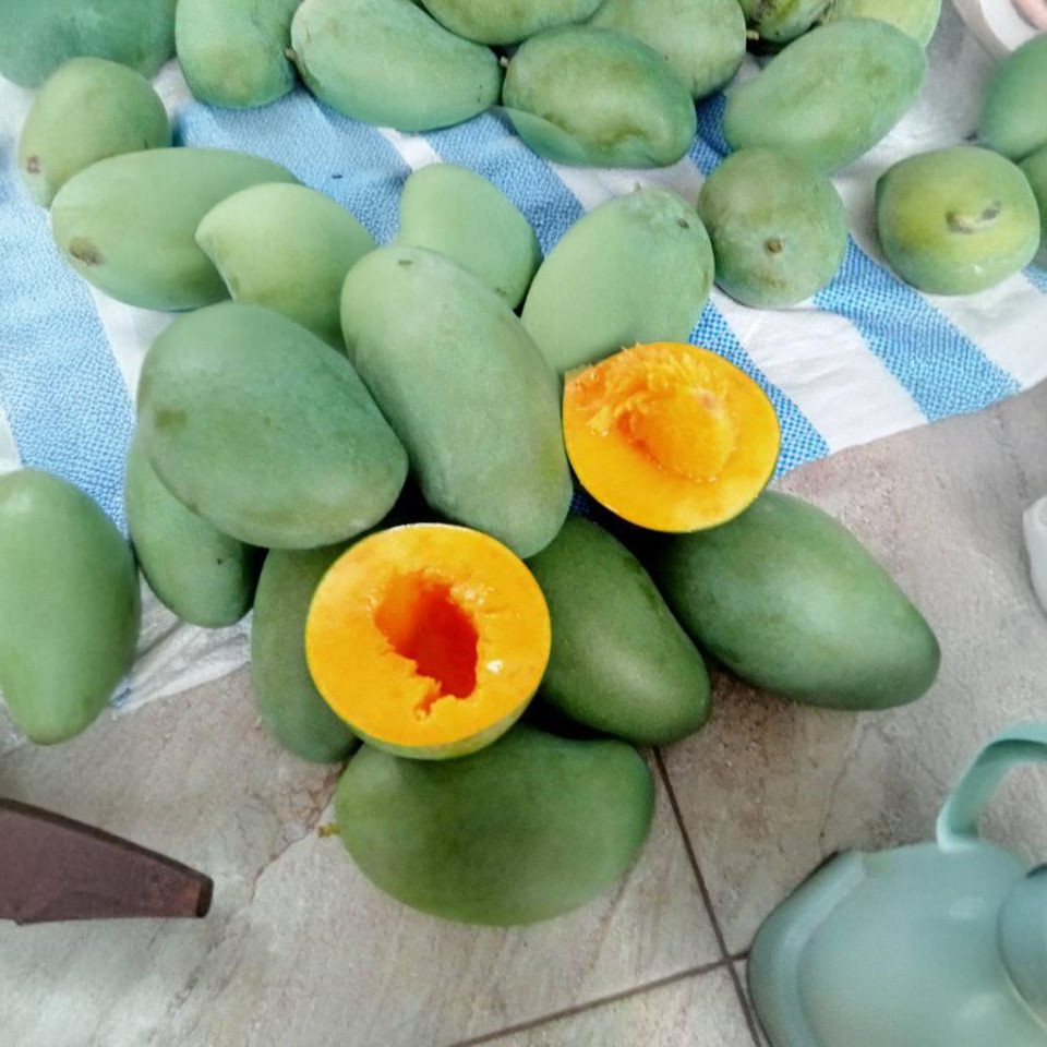 

Kesegaran dalam Setiap Gigitan: Manga Harum Manis Pilihan Anda