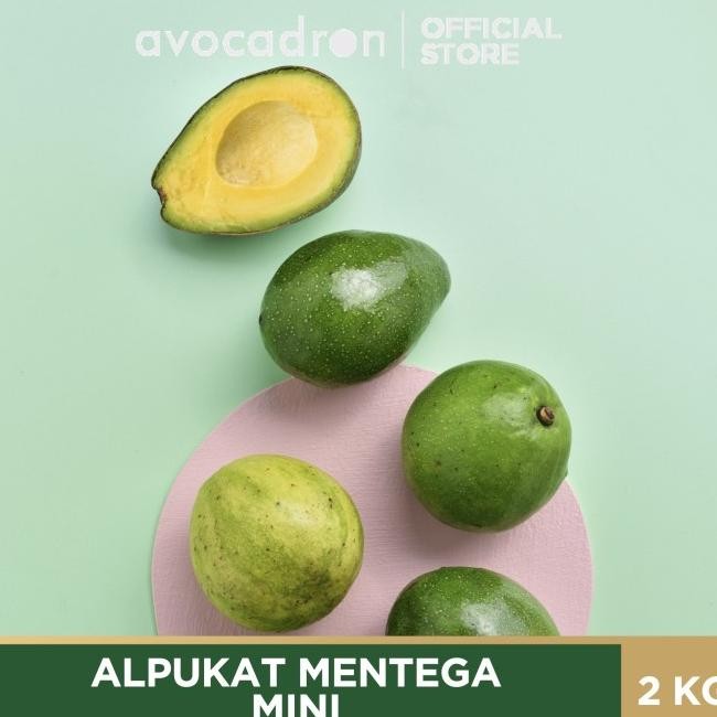 Alpukat Mentega Ni Avocadron