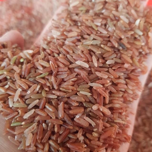 

Beras Merah Sosoh 5 Kg Cap Bunga