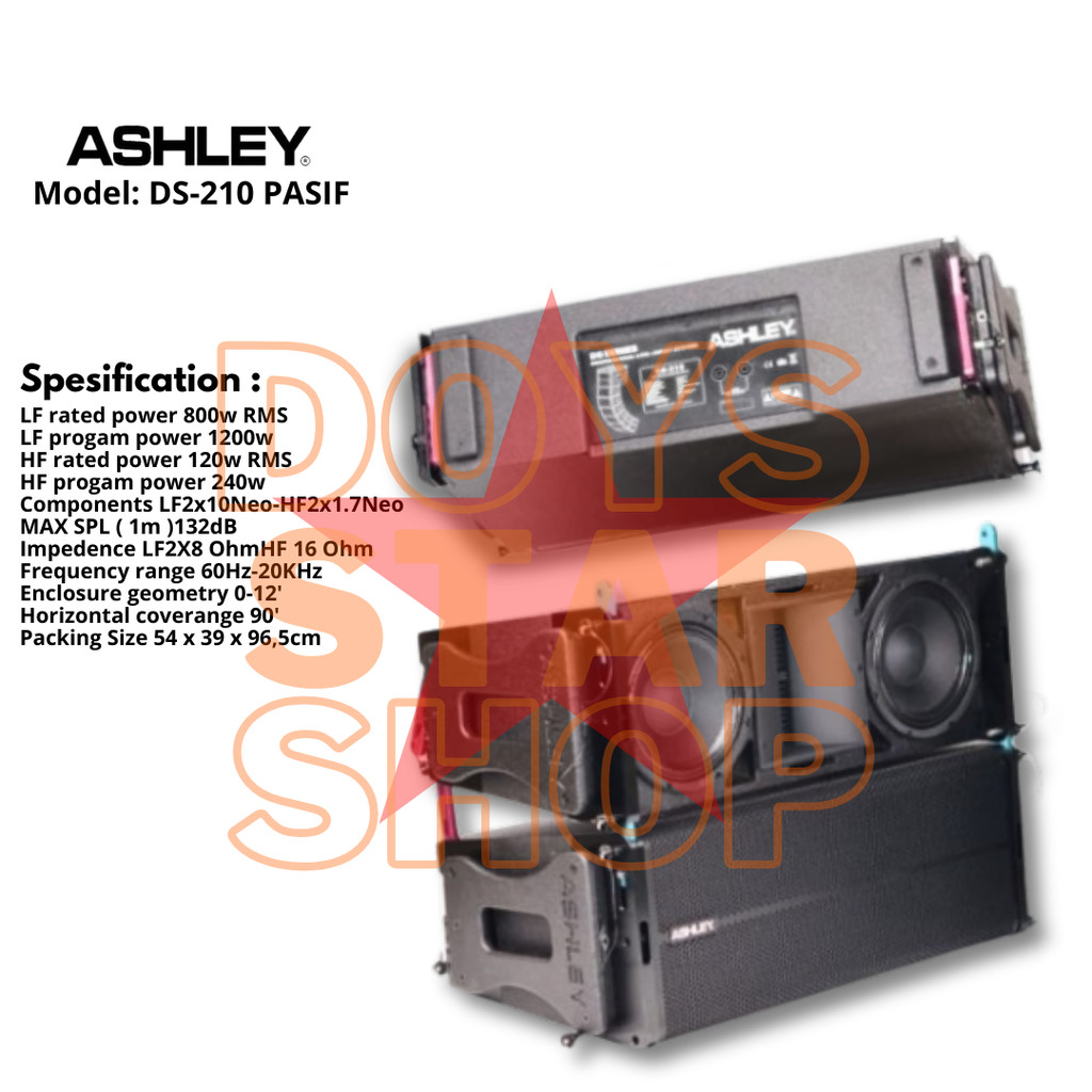 ORIGINAL LINE ARRAY ASHLEY DS-210 PASIF