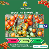 

Rampai Segar - PSC. Lampung