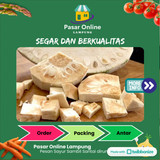 

Nangka Muda - PSC. Lampung