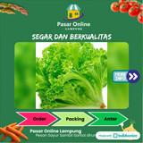 

Selada Segar - PSC. Lampung