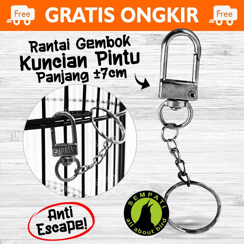 Rantai Gembok Silver Pengunci Sangkar Burung Murai Lovebird Kacer Kenari Rantai Kunci Kandang Hewan 
