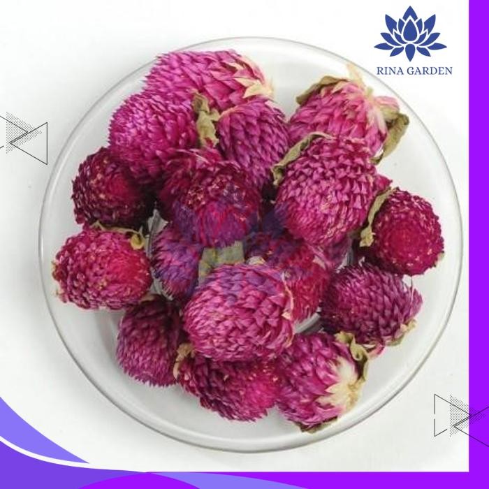 

TEH BUNGA AMARANT / GLOBE AMARANTH FLOWER TEA 40GR PRODUK TERBAIK