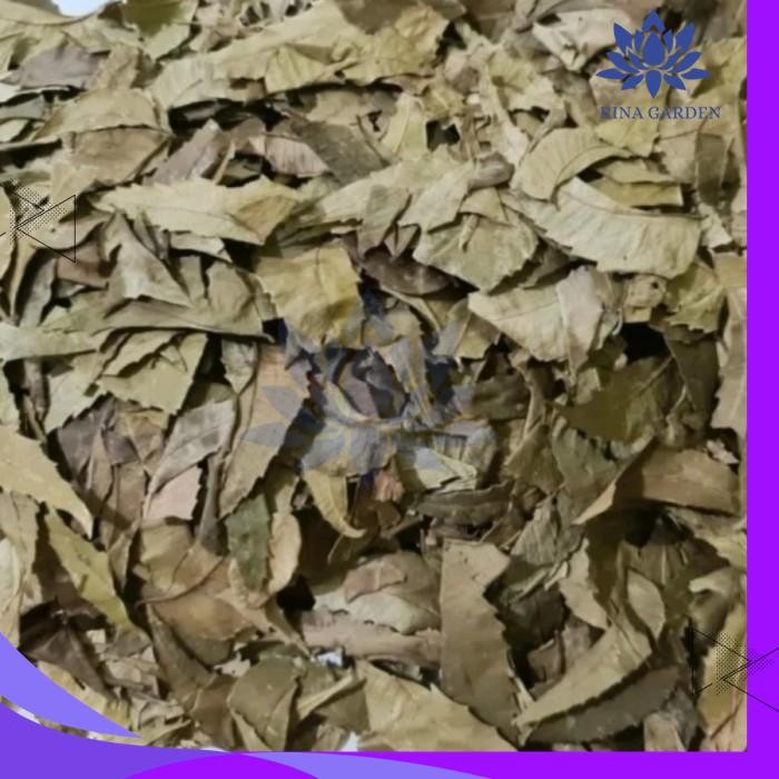 

DAUN MIMBA KERING 1KG / DAUN IMBA / DAUN IMBO TERMURAH