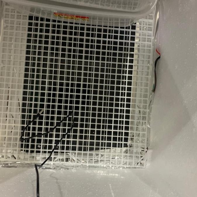 Inkubator Ball Python /Inkubator Reptile /Incubator Reptile