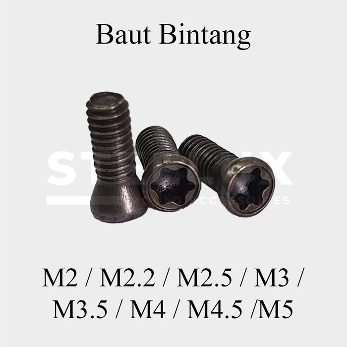 Baut Holder Bintang M2 / 2.2 / 2.5 / 3 / 3.5 / 4 / 4.5 / 5 mm Torx Screw Milling Bubut * Baud Insert