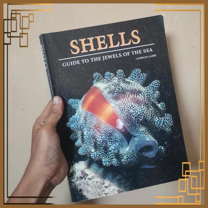 

[ADG] Buku Import Periplus shells guide to the jewels of the sea