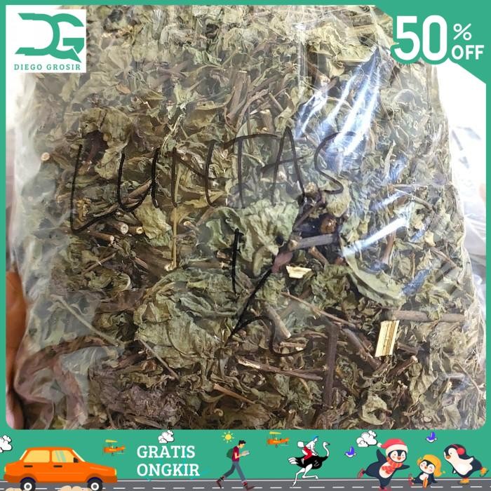 

BAHAN ALAMI DAUN BELUNTAS KERING 500GR - DAUN LUNTAS KERING BY DIEGO GROSIR TERBAIK!!