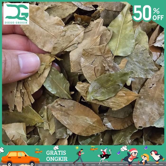 

BAHAN ALAMI DAUN KEMUNING KERING 500GR BY DIEGO GROSIR BEST SELLER!!