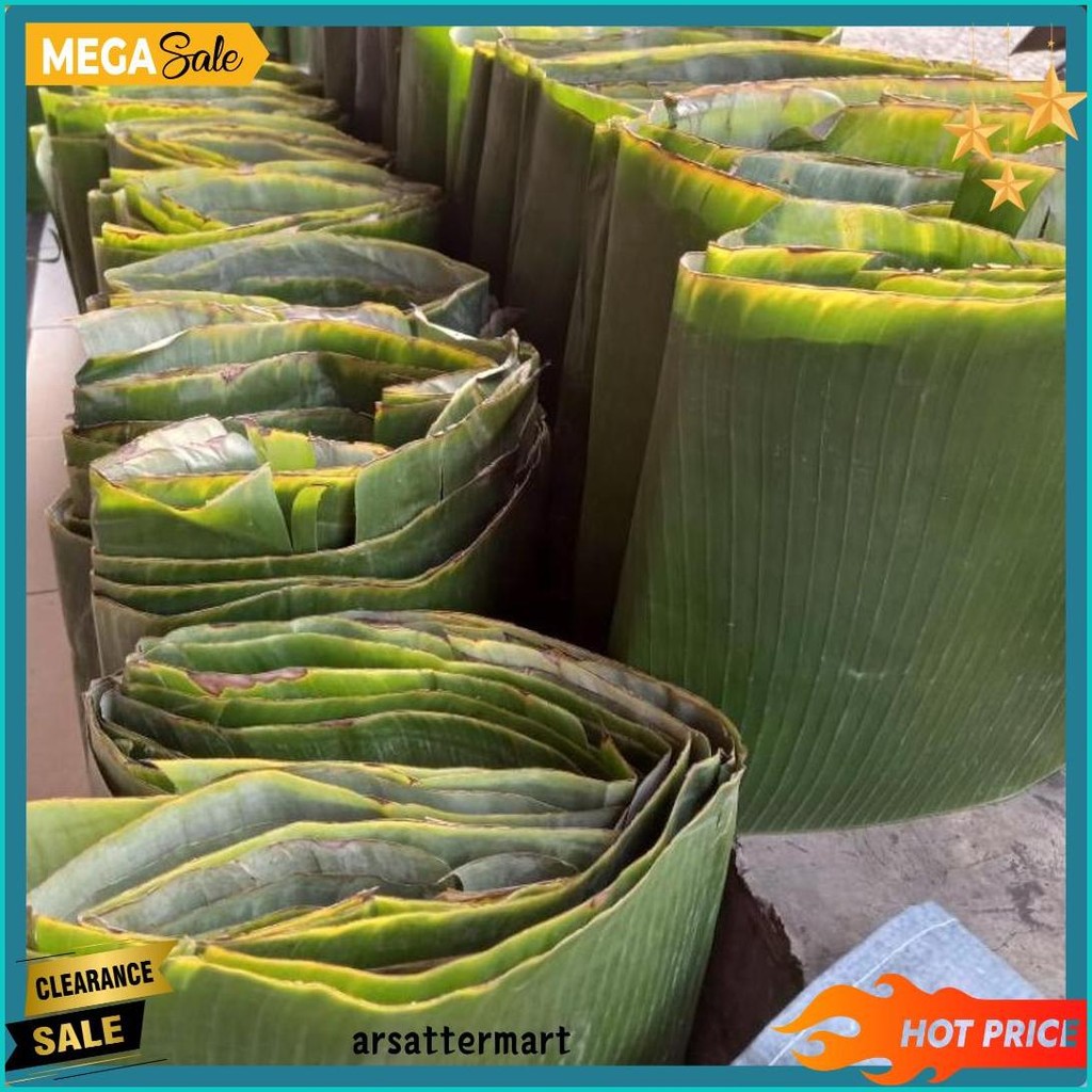 

Daun Pisang Batu Daun Pembungkus Kue (Lagi Diskon)