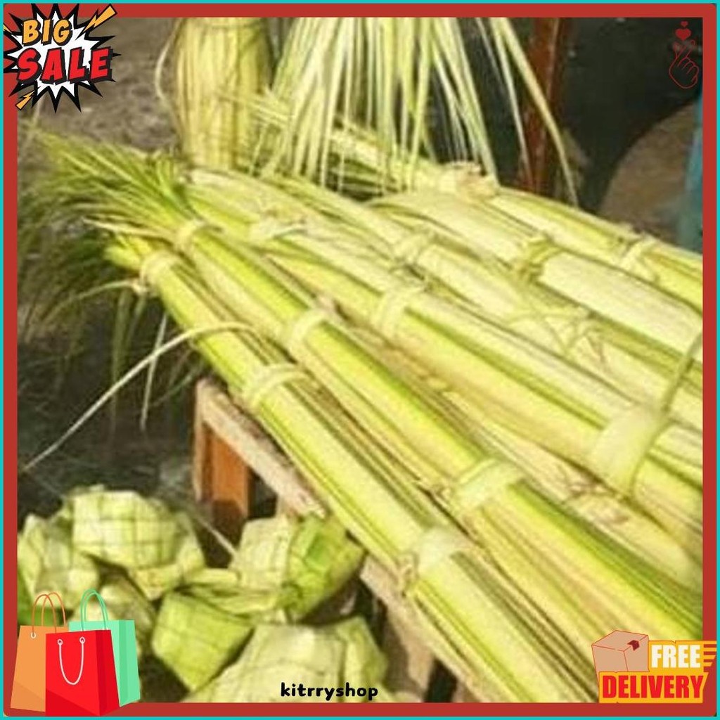 

New Cod Janur Kelapa Atau Daun Kelapa Muda (Murmer)