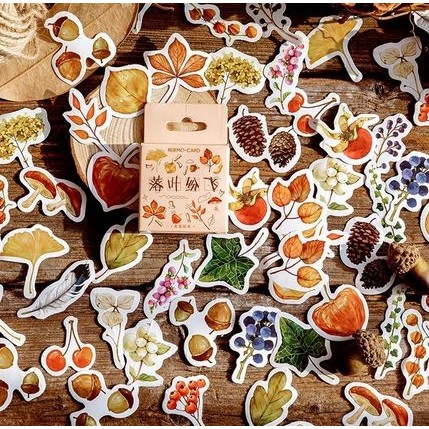 

YQ698 Label Stickers - Fruit & Seeds from The Forest (46pcs) TERMURAH