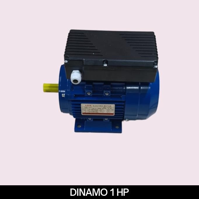 Dinamo 1 Hp 1 Phase 1400 Rpm Induction Motor 0,75 1 Phase / 1 Pk [ Katha97 ]