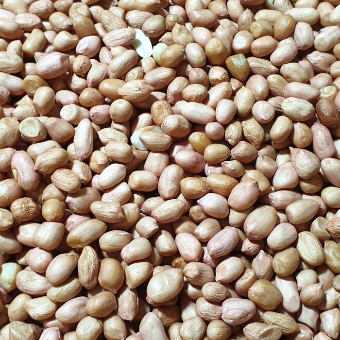 

HEMAT kacang tanah mentah 1 kg