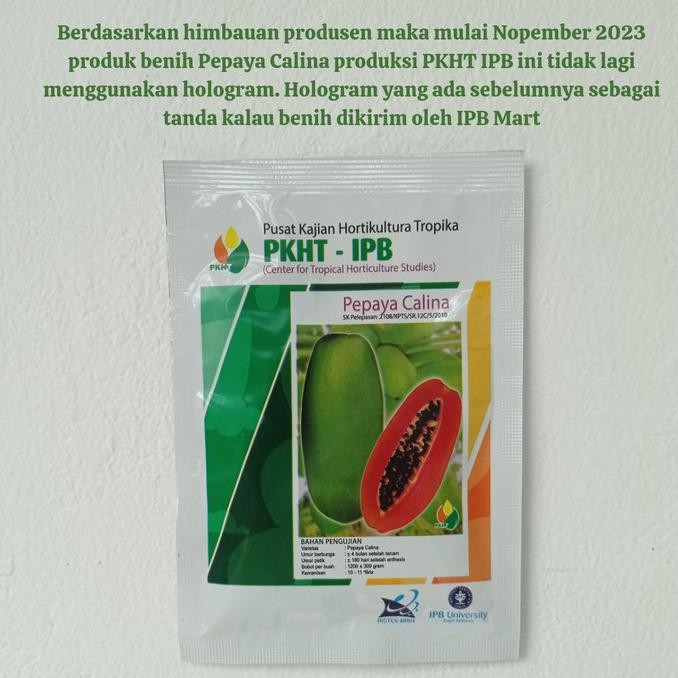 Benih Pepaya Calina PKHT IPB 9 (California) Callina JS