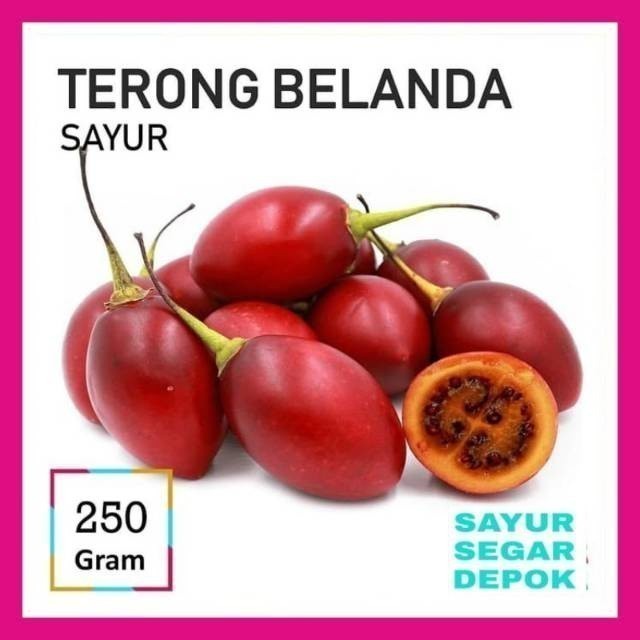 

Terong belanda 500 GRAM