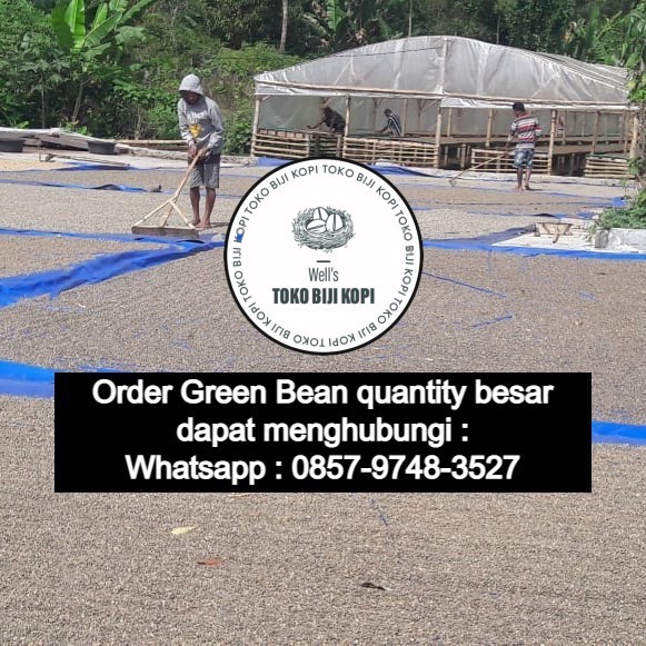 

Green Bean / Kopi Mentah Robusta Dampit Grade 1 - 1 Kg