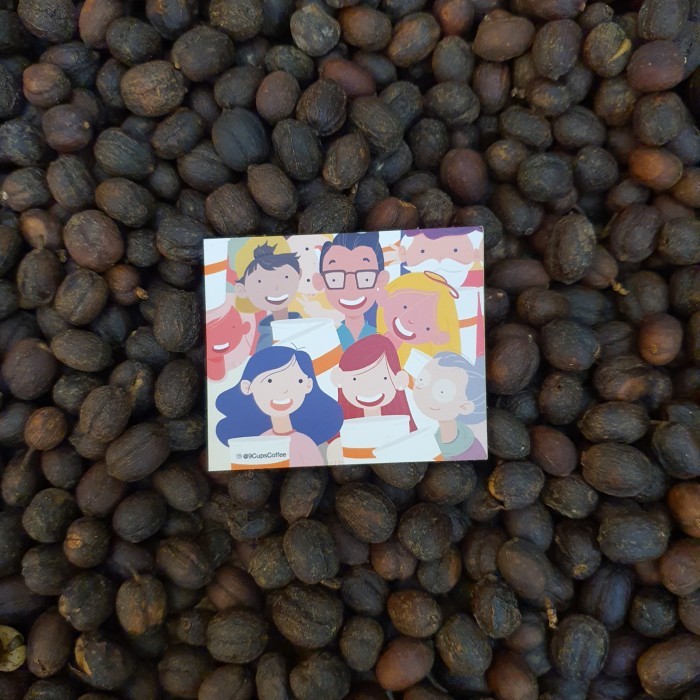 

Coffee Beans / Biji Kopi Sunda Aromanis - 200 Grams