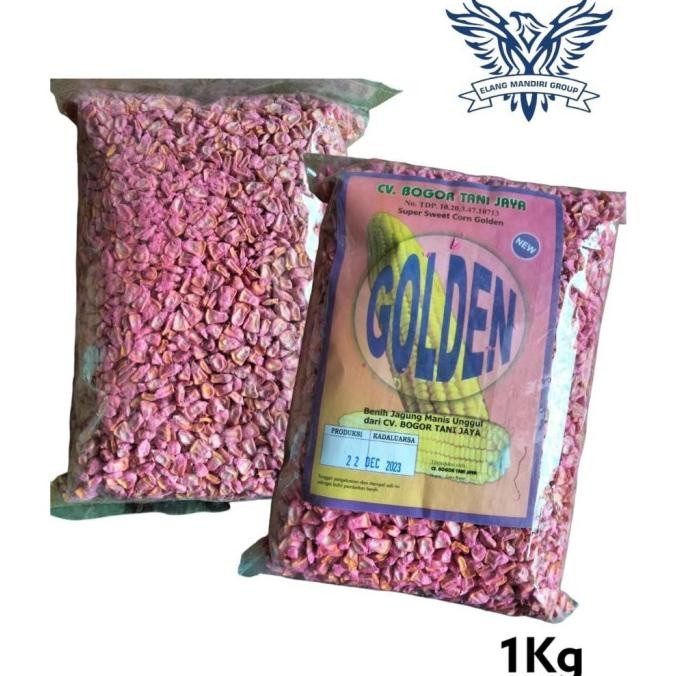 Benih JAGUNG GOLDEN 1 kg Bibit jagung Manis Madu Berkualitas Exotic