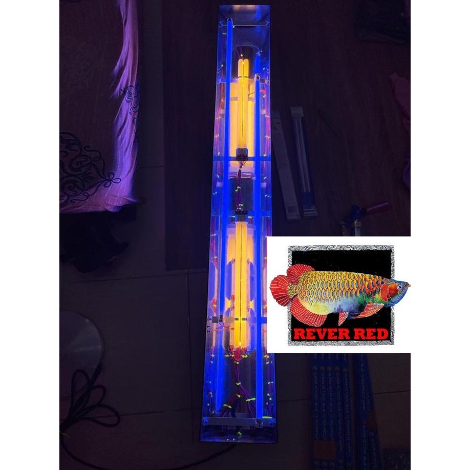 

BLUE- LAMPU TANING ARWANA KOMBINASI AQUAZONIC BLUE & PLL POLLAND 827