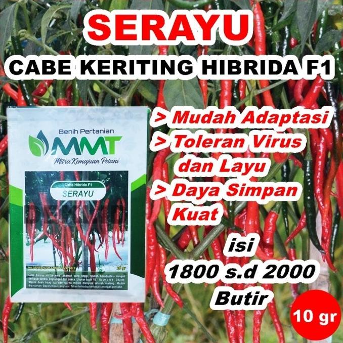 Benih Cabe Merah Keriting Serayu F1 10 Gr Bibit Cabai Kriting MMT COD