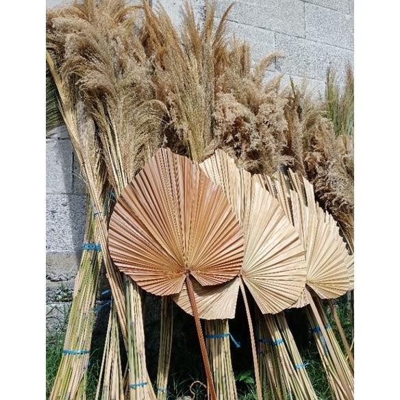 BISMILAH PALEM JUMBO LEBAR 45CM/DAUN PALEM KERING/DRIED PALM RUSTIC/DEKORASI AESTHETIC DISCOUNT