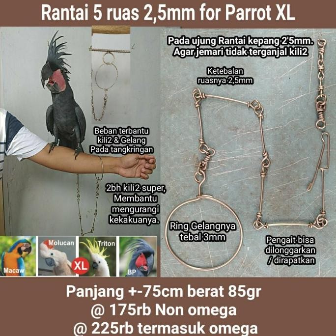 Paket Ring Kaki Omega dan Rantai Macau BNG hingga Macaw HYACHINT