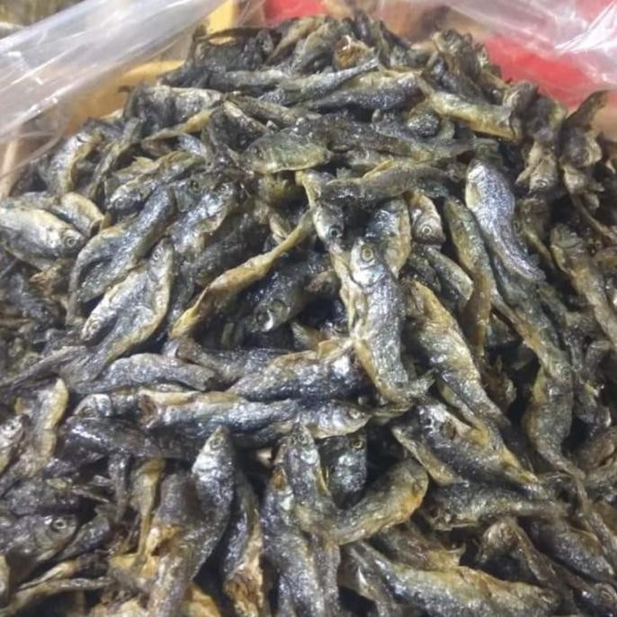 

Include PPN Ikan Danau Bilis/Bilih Tawar Padang