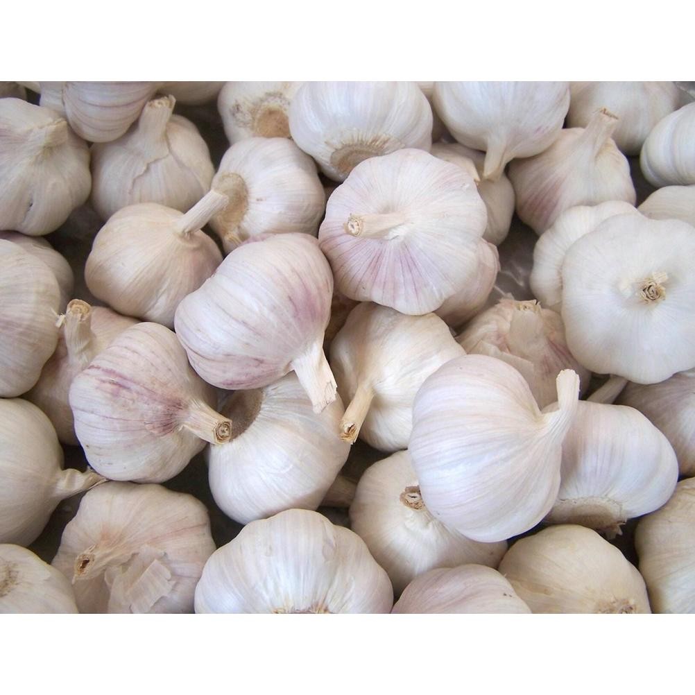 

Bawang Putih Biji (1 kg)