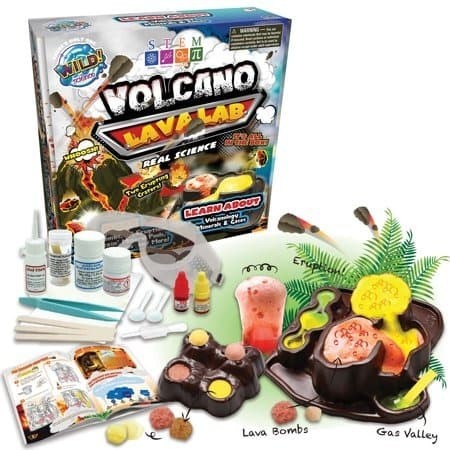 

Wild Science Volcano Lava Lab Science Kits For Kids STEM Experiment