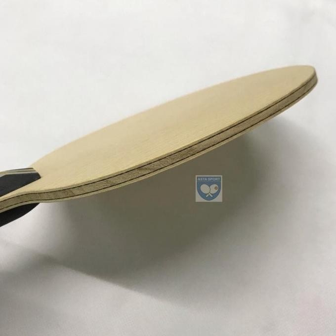 Donic Original Exclusive Carbon / Bet Tenis Meja Pingpong