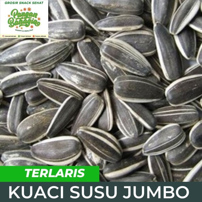 

Terbaru Kwaci Kuaci Bunga Matahari Jumbo Rasa Susu 2,5Kg