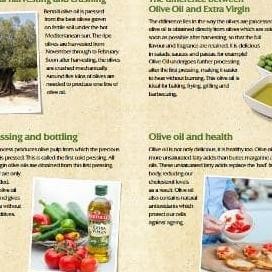 

Bertolli 100% Extra Light Tasting Olive Oil - 250 Ml Original Dan Terpercaya