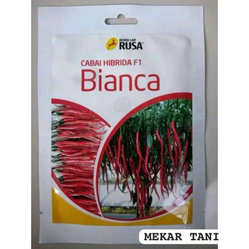 Benih bibit cabe keriting BIANCA F1 isi 10 gram original