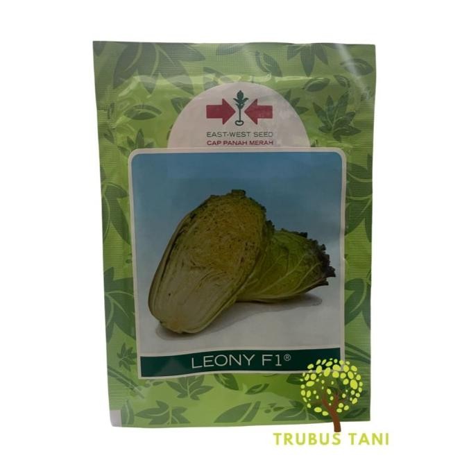 Leony 10gr Benih Sawi Putih Hibrida Tahan Akar Gada