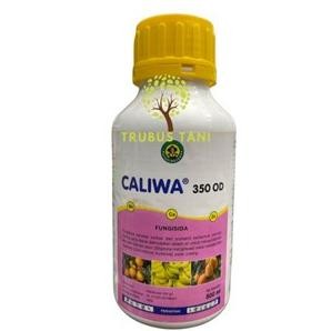 Caliwa od 250ml fungisida cair mankozeb