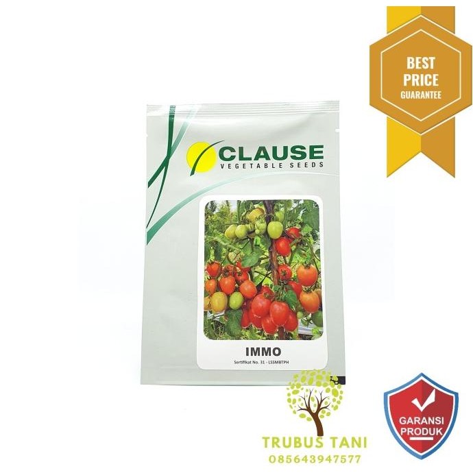 Benih Tomat CLAUSE F1