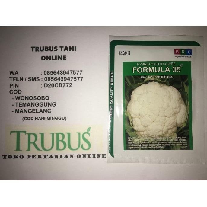 

BENIH Kembang Kol Hibrida Formula 35 +/- 2000 butir