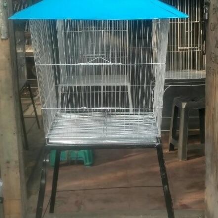 Kandang Limas besar buat burung beo burung jalak dan ayam kate