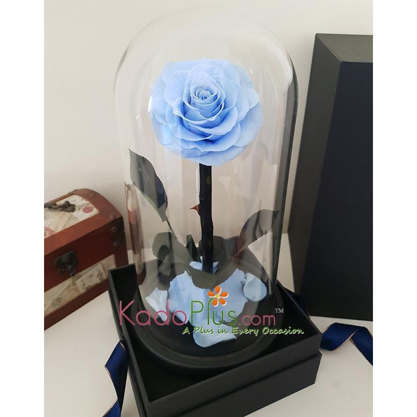 

PROMO EVERLASTING LIGHT BLUE ROSE PREMIUM IN A DOME GLASS - WITH BOX