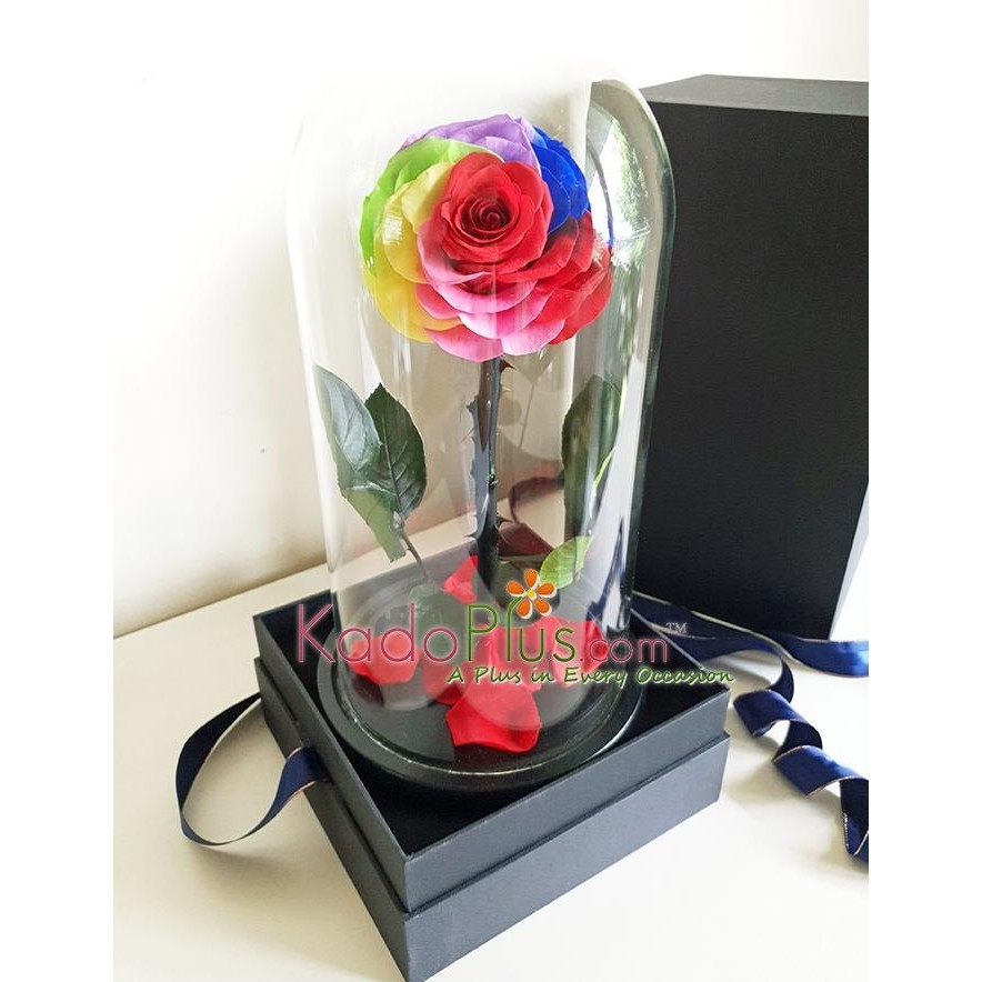 

PROMO EVERLASTING RAINBOW ROSE PREMIUM