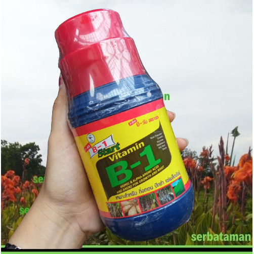 Terlaris Vitamin B1 Tanaman Thailand 500Ml / Vitamin Tanaman