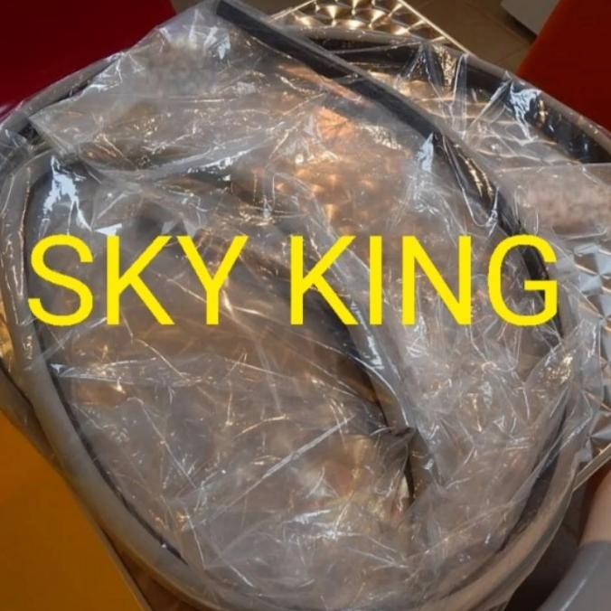 Karet Body Pintu Depan Land Cruiser LandCruiser LC VX 80 VX80 LC80