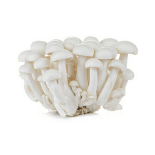 

Jamur Shimeji 1 pack oFresh Batam